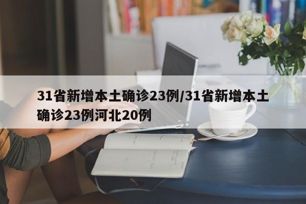 31省新增本土确诊23例/31省新增本土确诊23例河北20例