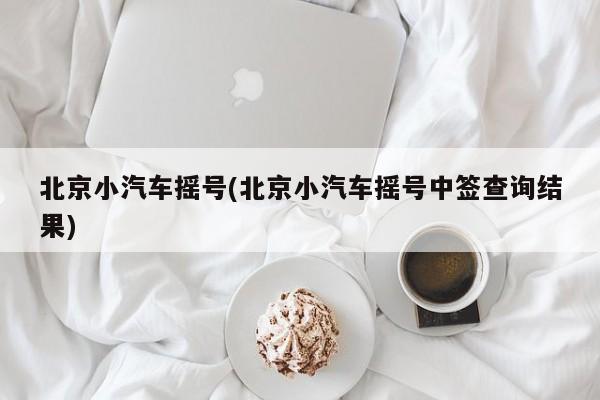 北京小汽车摇号(北京小汽车摇号中签查询结果)